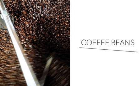 スペシャルティ コーヒー 4種の飲み比べセット(200g×4種)[豆or粉] 豆のまま