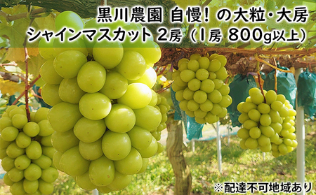 Ԃǂ 2025N s\ _  ! ̑嗱 [ VC }XJbg 2[ i1[ 800gȏj uhE  RY Y t[c ʕ Mtg ʕ