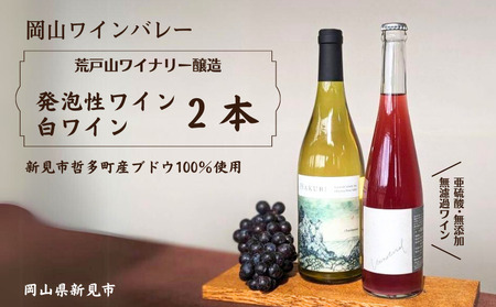 岡山ワインバレー 荒戸山ワイナリー醸造 ワイン2本セット(発泡性ワイン・白ワイン)