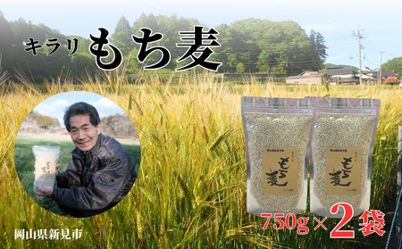 キラリもち麦 約1.5kg (約750g×2袋)