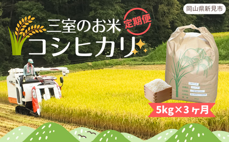 [定期便]令和6年産 三室のお米 コシヒカリ 低農薬米 農家直送 精米 5kg×3ヶ月連続