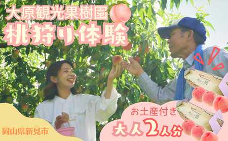 大原観光果樹園 桃狩り体験ペアチケット2人(桃お土産付き)