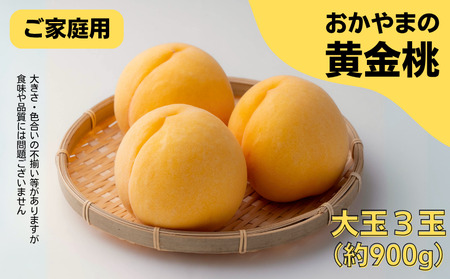 家庭用 黄金桃 3玉 大玉 約900g 岡山県産[先行予約 2025年8月下旬から順次発送]