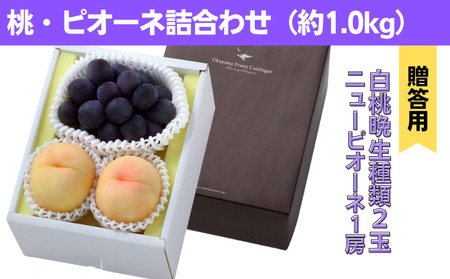 詰合せ 白桃 晩生種 2玉 ニューピオーネ 1房 合計約1.0kg 岡山県産 [先行予約 2025年8月下旬から順次発送]