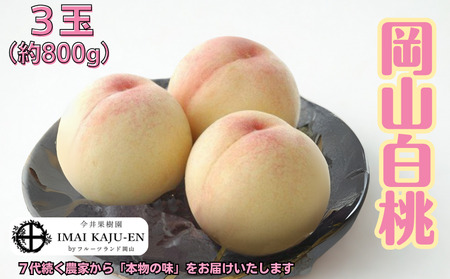 白桃 3玉 約800g 岡山県産 [先行予約 2025年7月上旬から順次発送]