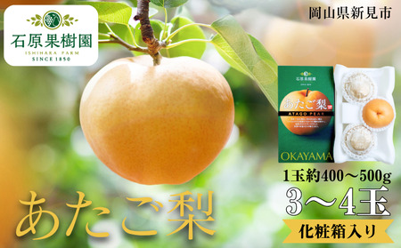 あたご梨 3〜4玉 1玉約400〜500g 化粧箱[先行予約 2025年11月中旬から順次発送]