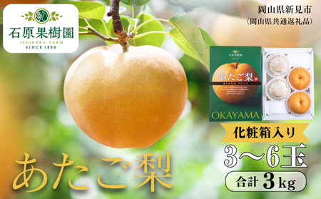 あたご梨 3kg 贈答 化粧箱 赤秀 3〜6玉 [先行予約 2026年11月中旬から順次発送]