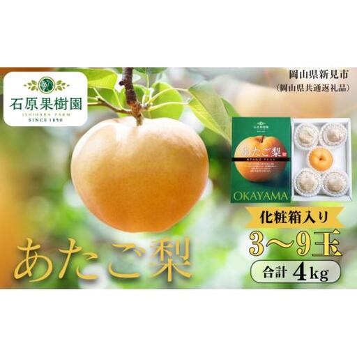 あたご梨 4kg 贈答 化粧箱 赤秀 3～9玉 【先行予約 2026年11月中旬から順次発送】