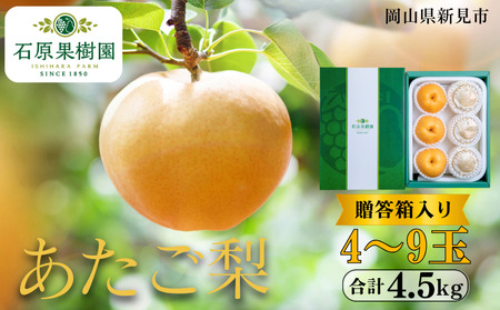 あたご梨 4〜9玉 約4.5kg 贈答箱[先行予約 2025年11月中旬から順次発送]