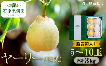 [[ () 5`10 3kg ys\ 2025N11{珇z