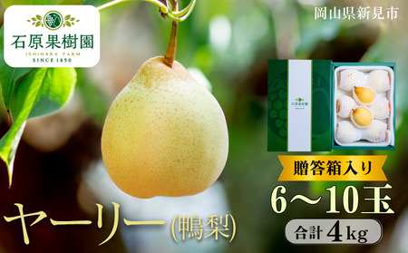 [[ () 6`10 4kg ys\ 2025N11{珇z