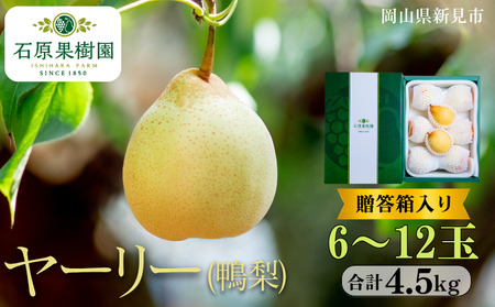 [[ () 6`12 4.5kg ys\ 2025N11{珇z