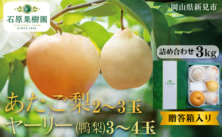 2`3 [[ () 3`4 lߍ킹 3kg ys\ 2025N11{珇z