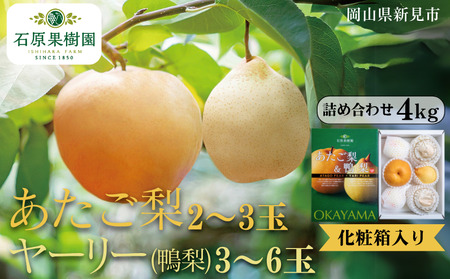 2`3 [[ () 3`6 lߍ킹 4kg ϔys\ 2025N11{珇z