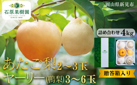 2`3 [[ () 3`6 lߍ킹 4kg ys\ 2025N11{珇z