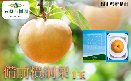 備前横綱梨 (あたご梨) 1玉 約1〜1.4kg [先行予約 2025年11月中旬から順次発送]