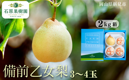 備前乙女梨 (ヤーリー) 3〜4玉 約2kg [先行予約 2025年11月中旬から順次発送]