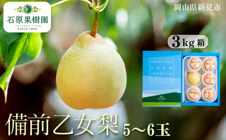 O ([[) 5`6 3kg ys\ 2025N11{珇z