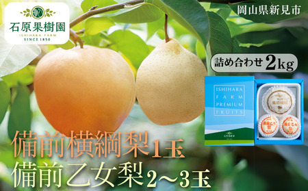 備前横綱梨(あたご梨)1玉(1玉約1〜1.4kg) 備前乙女梨(ヤーリー (鴨梨)) 2〜3玉 詰め合わせ 約2kg[先行予約 2025年11月中旬から順次発送]