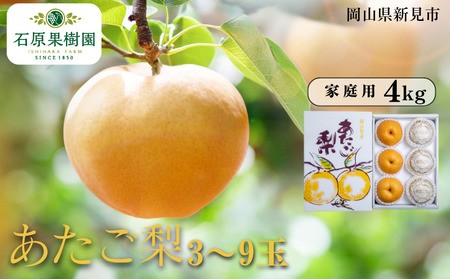 あたご梨 3〜9玉 約4kg 家庭用[先行予約 2025年11月中旬から順次発送]