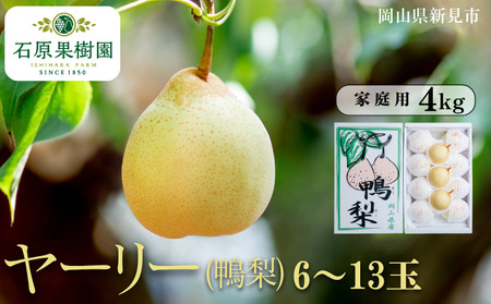 ヤーリー (鴨梨) 6〜13玉 約4kg 家庭用[先行予約 2025年11月中旬から順次発送]