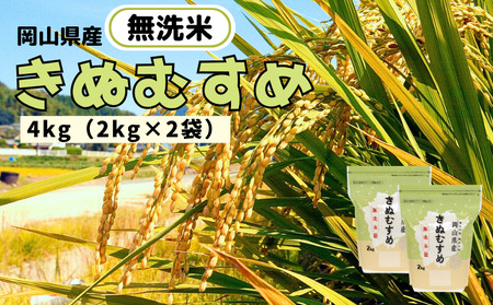[令和7年産]無洗米 きぬむすめ 4kg 2kg×2袋 岡山県産 [先行予約 2025年11月上旬から順次発送]