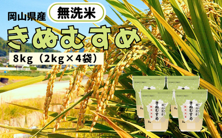 yߘa7NYz ʂނ 8kg 2kg×4 RY ys\ 2025N11{珇z