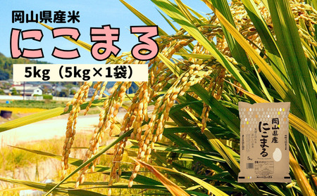 [令和7年産]岡山県産米 にこまる 5kg 5kg×1袋 [先行予約 2025年11月上旬から順次発送]