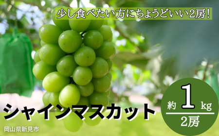 �є_�� �V���C���}�X�J�b�g ��1kg 2�[ �y��s�\�� 10����{���珇�������z