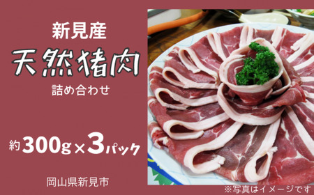 VY VR ɏlߍ킹 XCX 300g×3 y12{`8{z