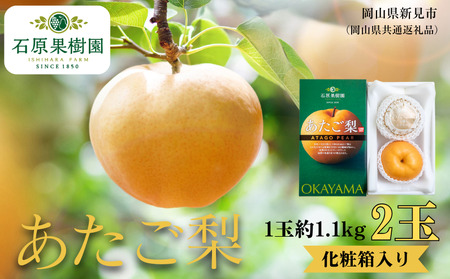 �������� 2�� ���� ���ϔ� �ԏG ��1.1kg�ʁy��s�\�� 2026�N11�����{���珇�������z