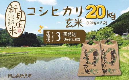 [令和7年産]新見庄米 コシヒカリ 玄米 20kg (10kg×2袋)定期便3回 2か月に1回