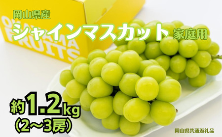 ご家庭用 シャイン マスカット 2〜3房 合計約1.2kg [先行予約 2026年9月上旬から順次発送]