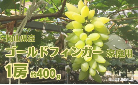 ご家庭用 ゴールドフィンガー 1房 約400g[先行予約 2026年7月中旬から順次発送]
