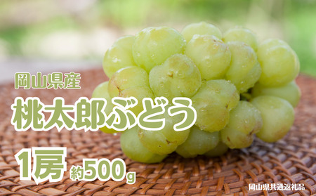 桃太郎ぶどう 1房 約500g [先行予約 2026年8月下旬から順次発送]