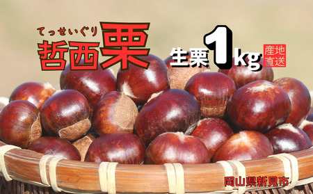 哲西栗(生栗)1kg [先行予約 2026年10月から順次発送]