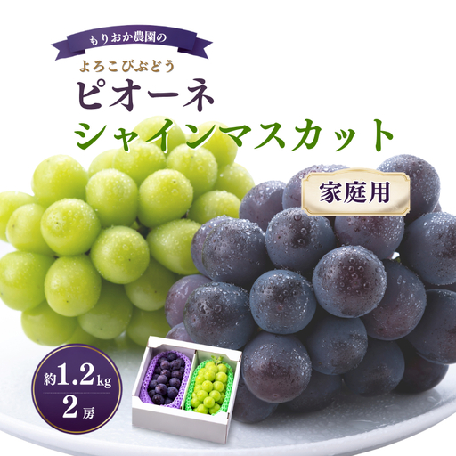 【家庭用】 もりおか農園のよろこびぶどう ピオーネ＆シャインマスカット 約1.2kg 2房（各1房） 【先行予約 2026年10月上旬から順次発送】