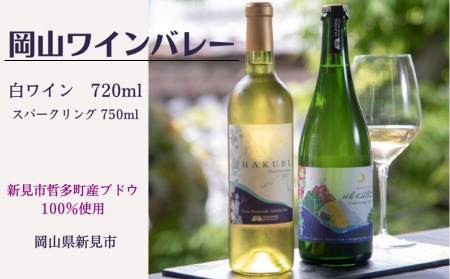 新見市哲多町産のぶどう100%を使った岡山ワインバレーの日本ワイン(白・スパークリング)2本セット