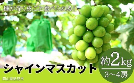 є_ VC}XJbg 2kg 3`4[ ys\ 10{珇z