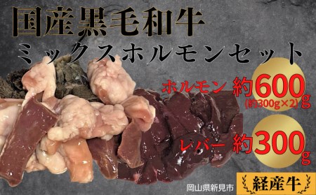 国産 黒毛和牛 いろり牛 経産牛 牛肉ミックスホルモンセット(ホルモン約600g+レバー約300g)