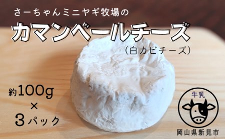 [11月〜3月限定・牛乳使用]カマンベールチーズ 約100g×3パック