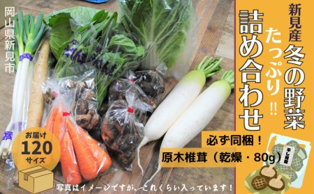 新見市産 冬の野菜詰め合わせセット[11月中旬〜1月中旬発送]