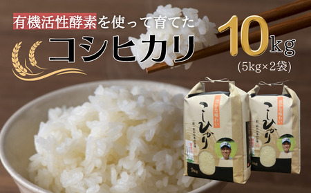 ߘa7NY L@yfgp VYRVqJ 10kg(5kg×2)