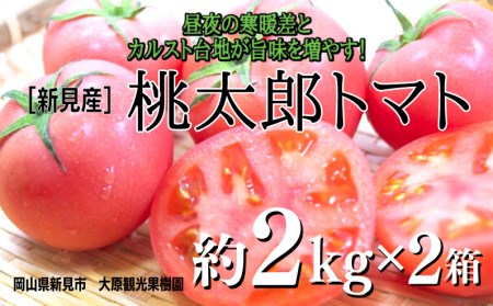 大原観光果樹園 桃太郎トマト 約2kg×2箱 [先行予約 7月下旬から順次発送]