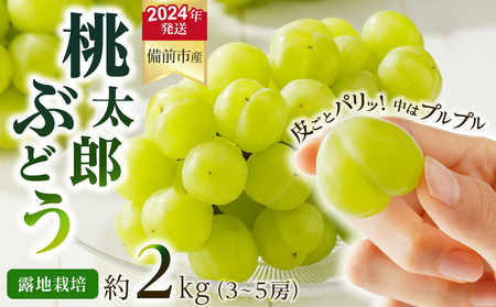 [2024年発送]岡山県備前市産 樹上完熟「桃太郎ぶどう」(露地栽培)約2kg