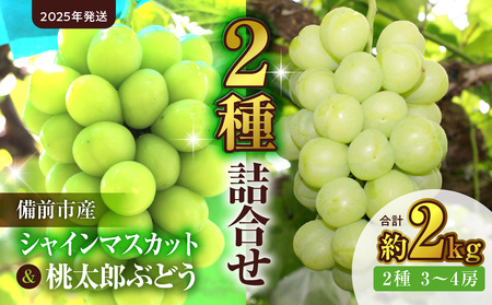 [2025年発送]備前市産シャインマスカットと桃太郎ぶどうの詰合せ 約2kg (2種 3〜4房)(令和7年9月初旬〜9月中旬発送予定)[ フルーツ 詰合わせ シャインマスカット 桃太郎ぶどう 備前市産 晴れの国おかやま ]