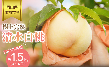 [2024年発送]岡山県備前市産 樹上完熟白桃「清水白桃」約1.5kg(4〜6玉入)