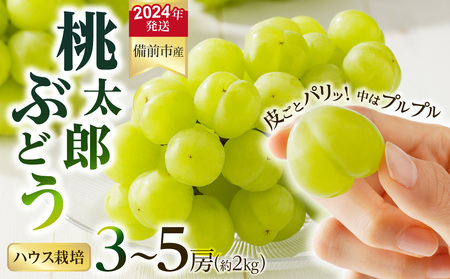 [2024年発送]岡山県備前市産 樹上完熟「桃太郎ぶどう」(ハウス栽培)約2kg