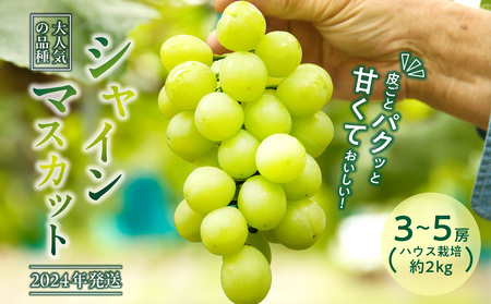 [2024年発送]岡山県備前市産 樹上完熟「シャインマスカット」(ハウス栽培)約2kg