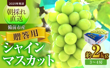 [2025年発送]備前市産 贈答用シャインマスカット 約2kg(令和7年8月中旬〜9月中旬発送予定)[ フルーツ シャインマスカット 備前市産 晴れの国おかやま ]